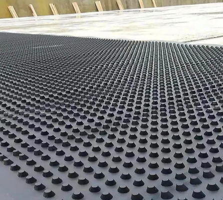 Waterproofing de esverdeamento do telhado branco preto de Dimple Plastic Drainage Board For